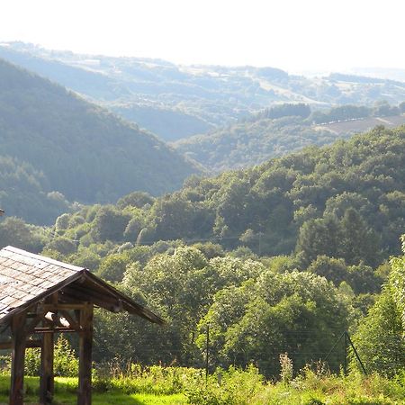 Domaine Du Randier Villa Ferrières-sur-Sichon Esterno foto