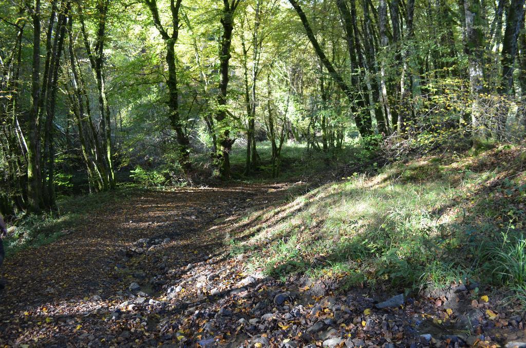 Domaine Du Randier Villa Ferrières-sur-Sichon Esterno foto