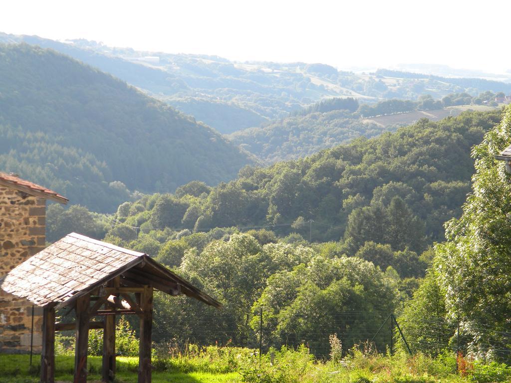 Domaine Du Randier Villa Ferrières-sur-Sichon Esterno foto